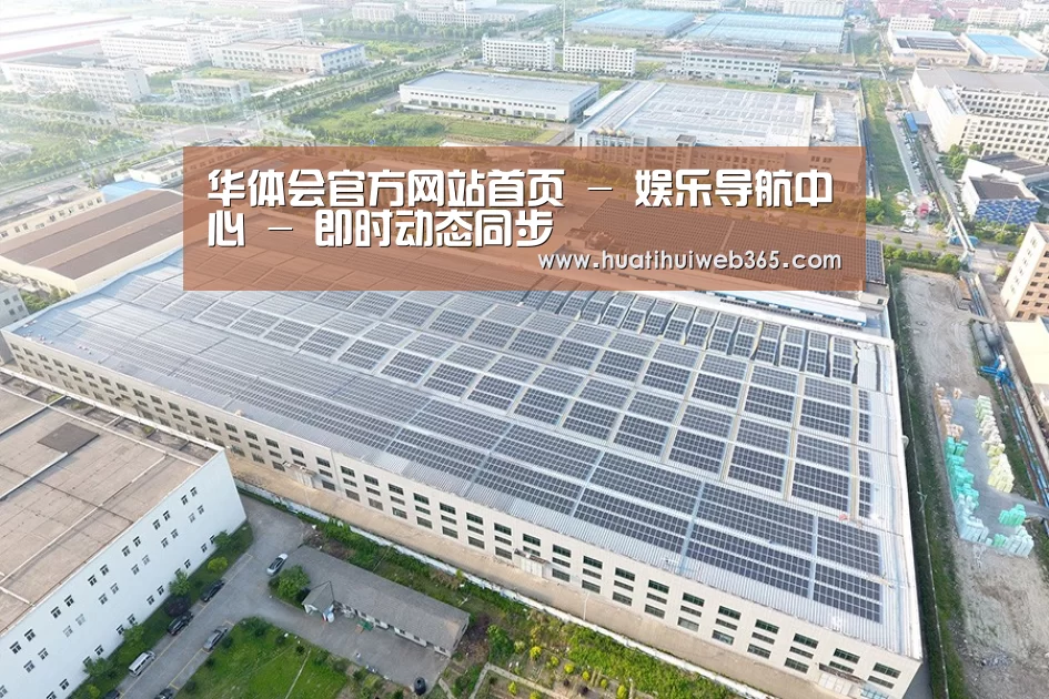 案例展示四